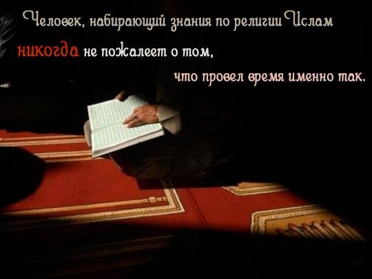 Кто изучал ислам