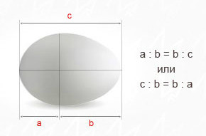золотое сечение в яйце