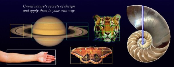 slider-nature-golden-ratio